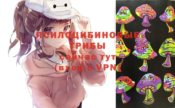 spice Кодинск