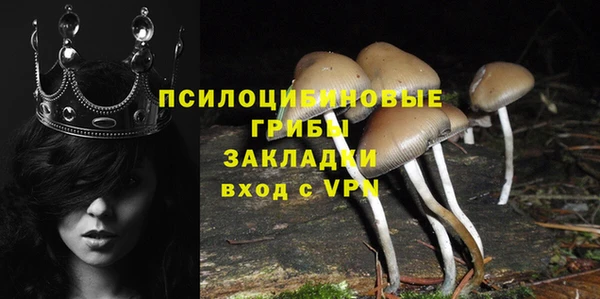 гашишное масло Козельск