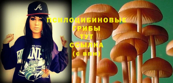 mdma Козловка