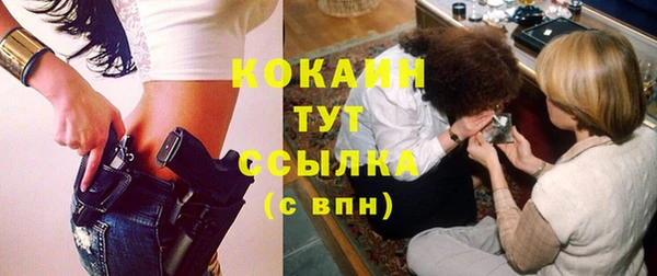 spice Кодинск