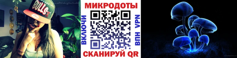 Псилоцибиновые грибы Psilocybe  Купить где  Зеленодольск 